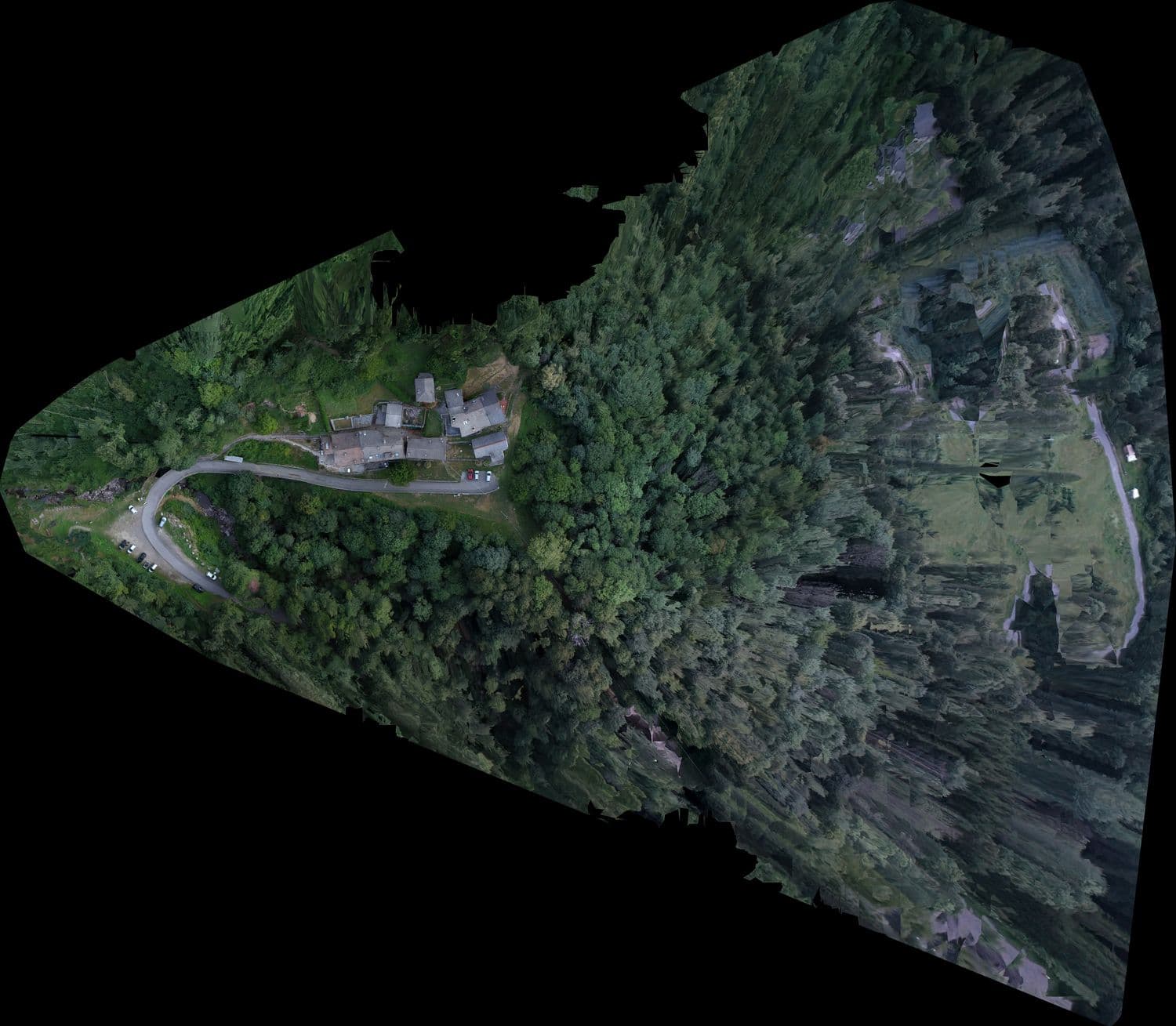 Ortofoto di un versante boscato con un nucleo di edifici e la strada di accesso